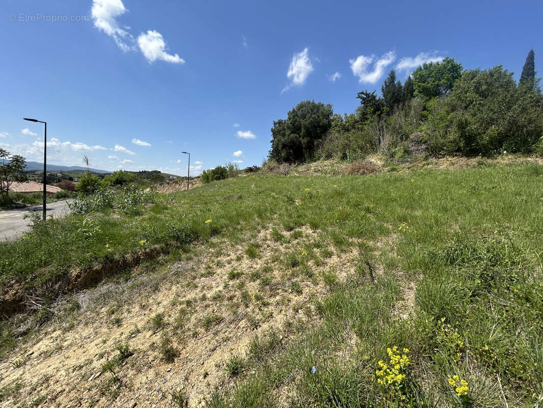 Terrain à LIMOUX