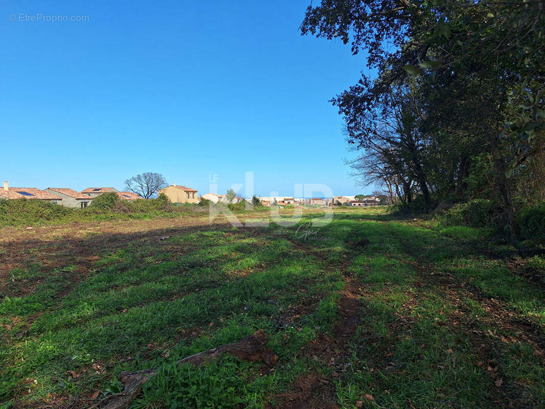 Terrain à VESCOVATO