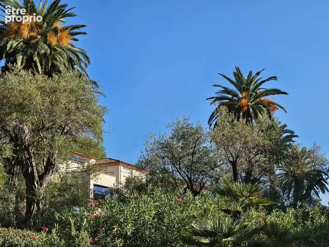 Exclusivité - Début Cap d'Antibes - Beau 3 pièces avec grande terrasse et vue panoramique mer - Piscine - Parc - Garage - Cave - photo 19