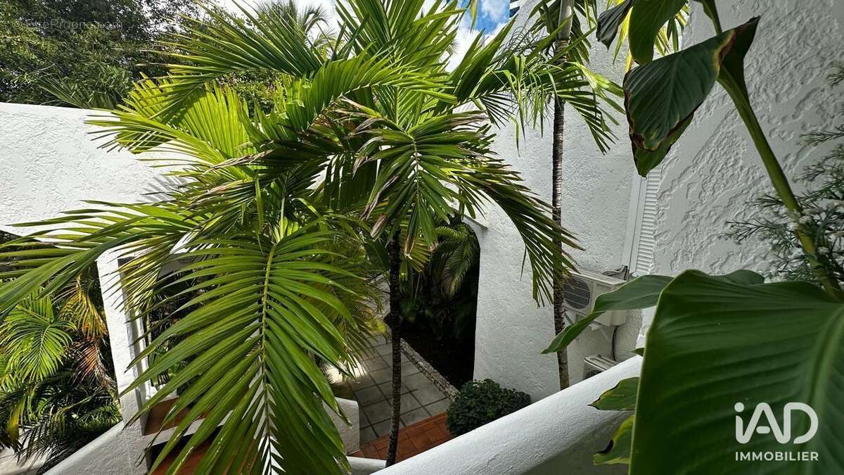 Photo 7 - Appartement à SAINT-MARTIN