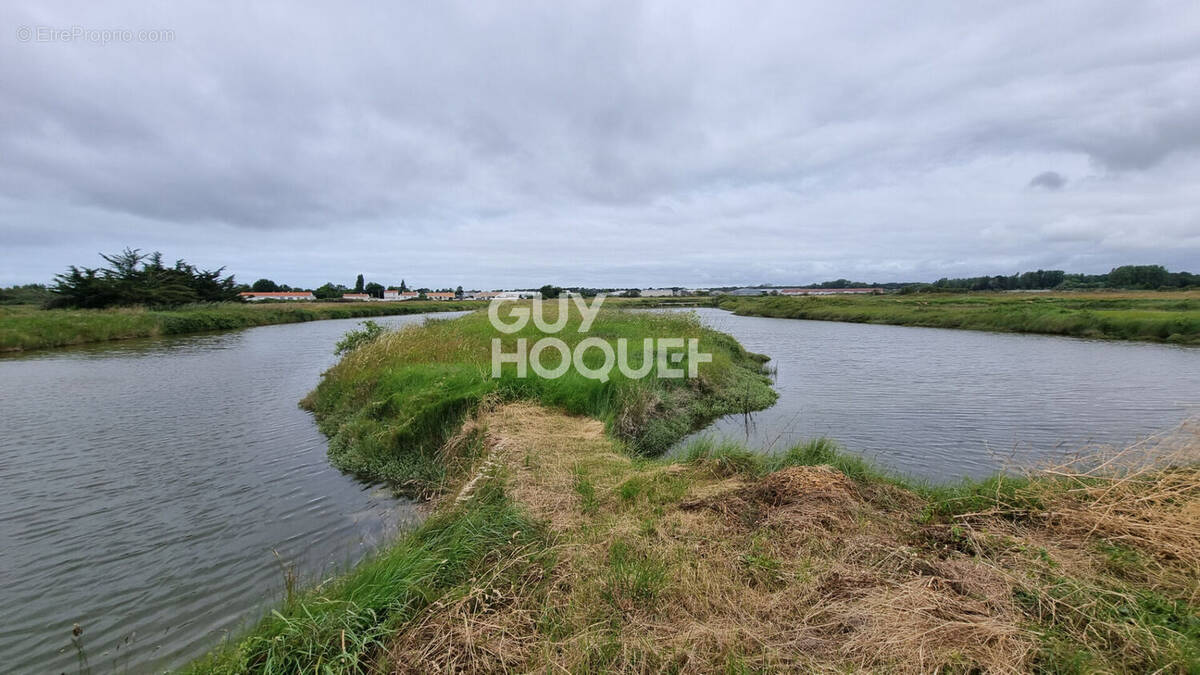 Terrain à SAINT-HILAIRE-DE-RIEZ