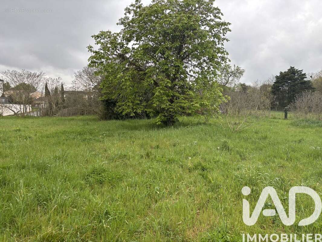 Photo 3 - Terrain à TOULOUSE