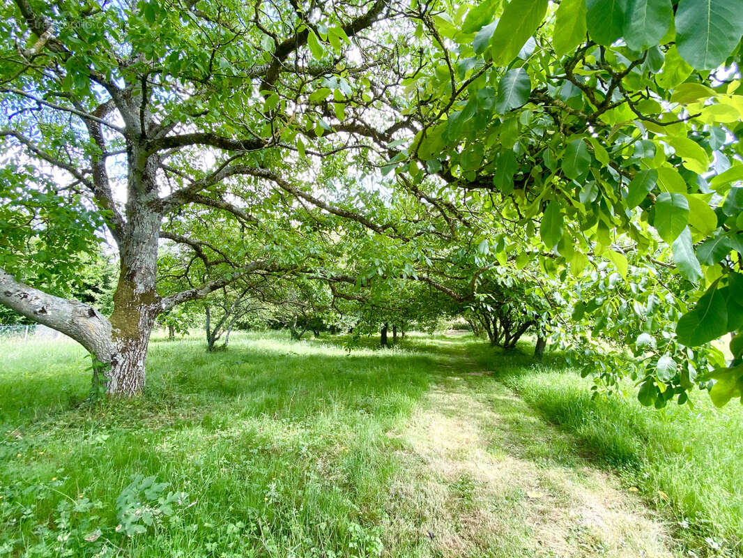 Maison à LOUAN-VILLEGRUIS-FONTAINE