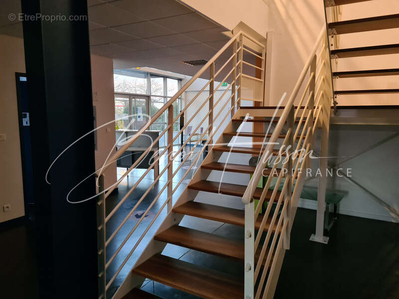 Commerce à AUTERIVE