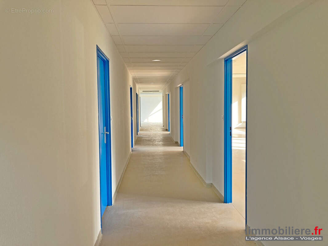 Commerce à SAINTE-MARIE-AUX-MINES