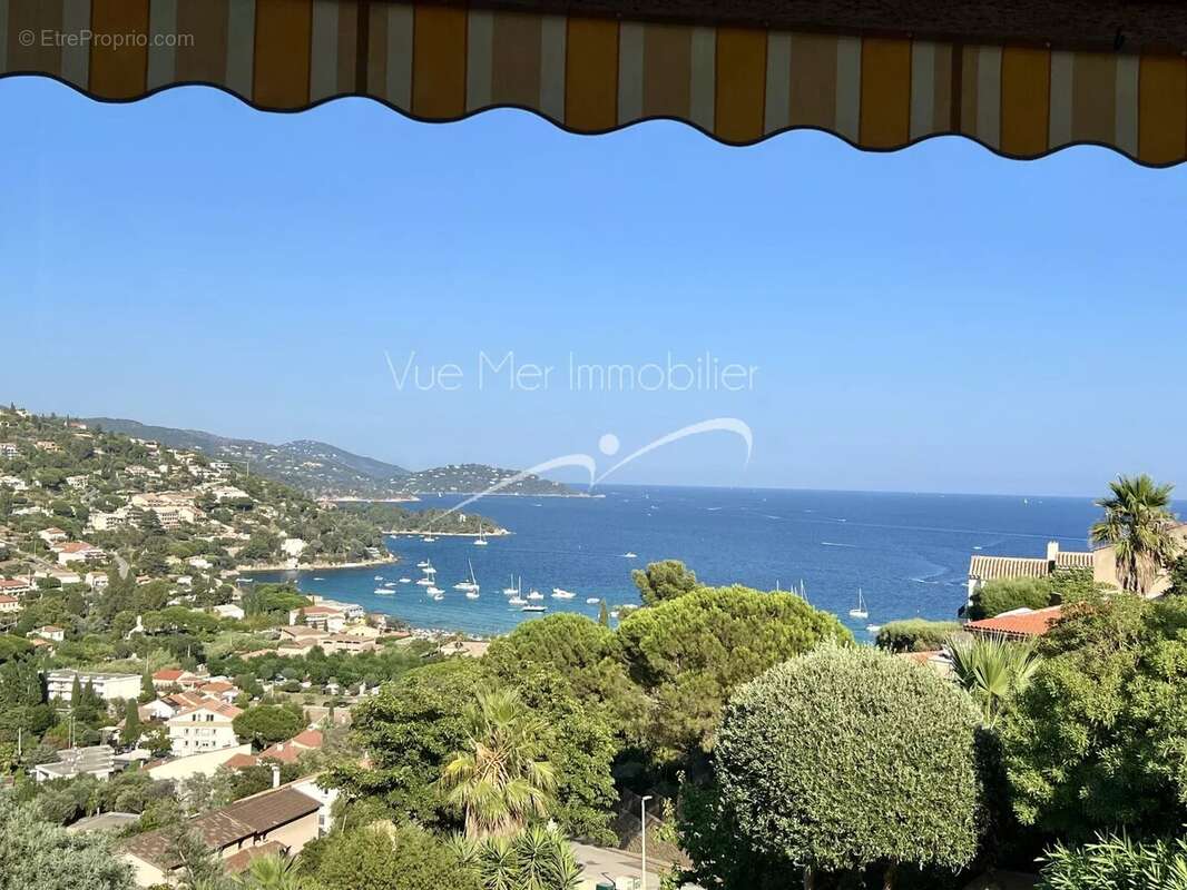 Maison à LE LAVANDOU