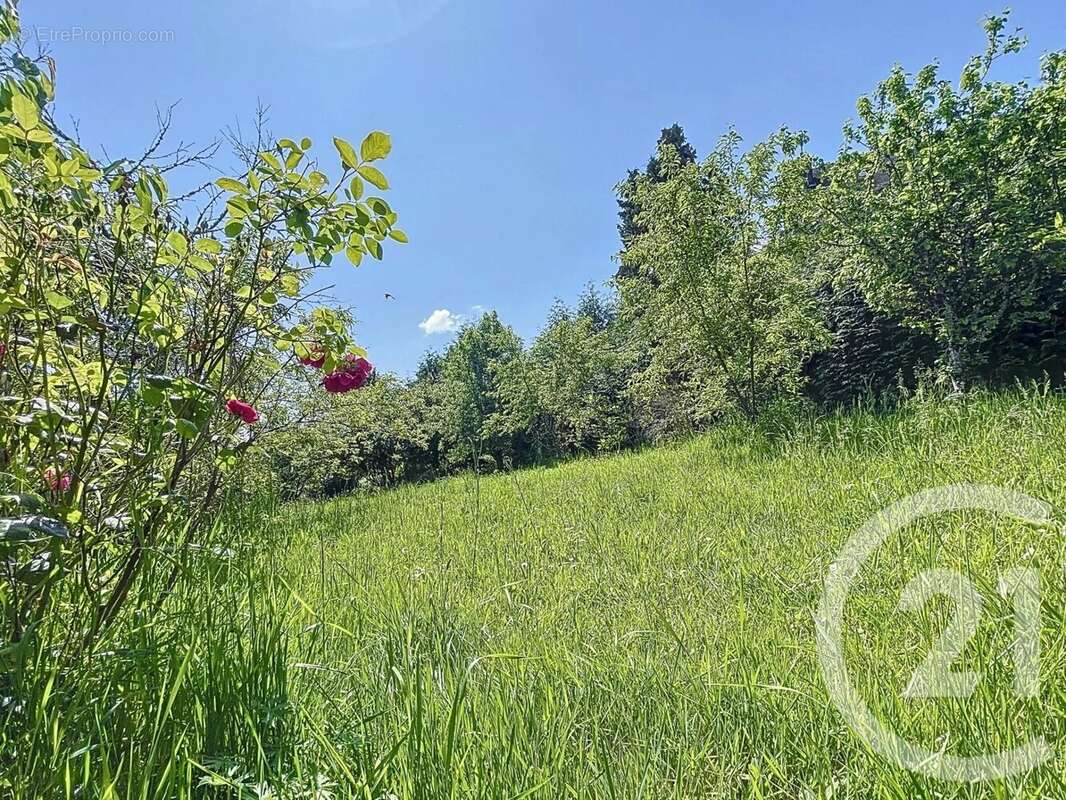 Maison à SAINTE-FEYRE