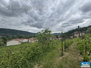 Terrain à ARRAS-SUR-RHONE