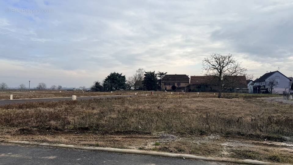 Terrain à BERGHOLTZ