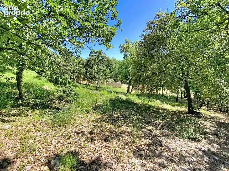 Terrain 2 000 m² à vendre à Puget (84360) - photo 4