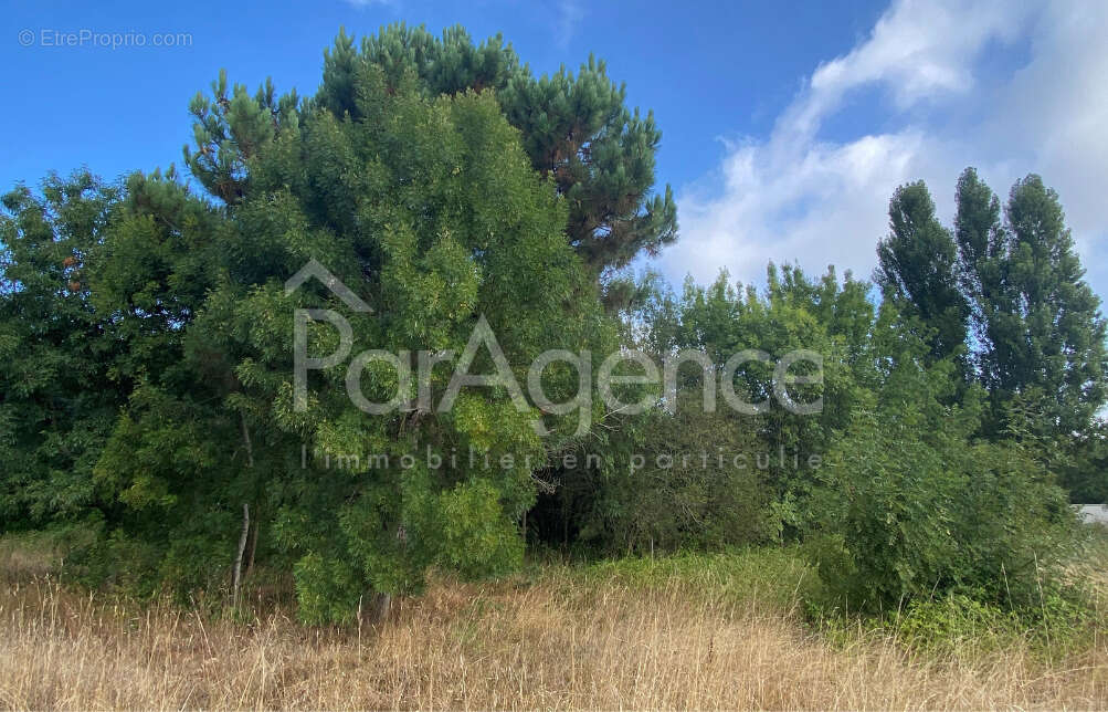 Terrain à SAINT-PALAIS-SUR-MER