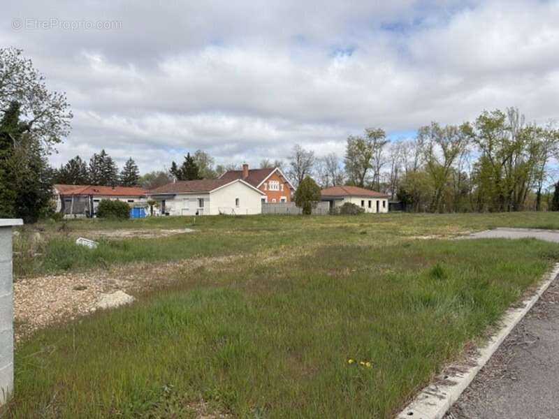 Terrain à SAINT-ROMAIN-DE-JALIONAS