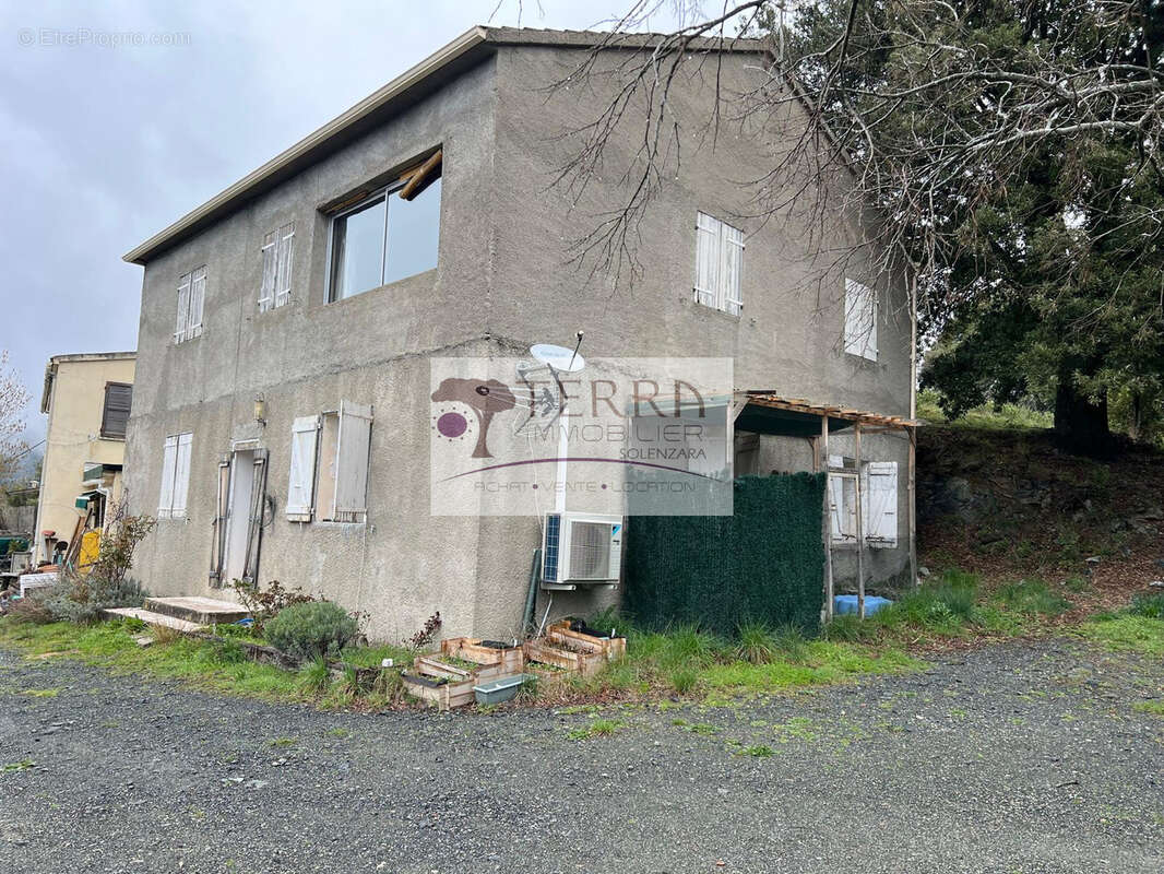 Appartement à BUSTANICO