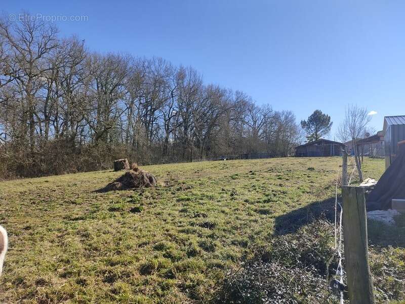 Terrain à EUGENIE-LES-BAINS