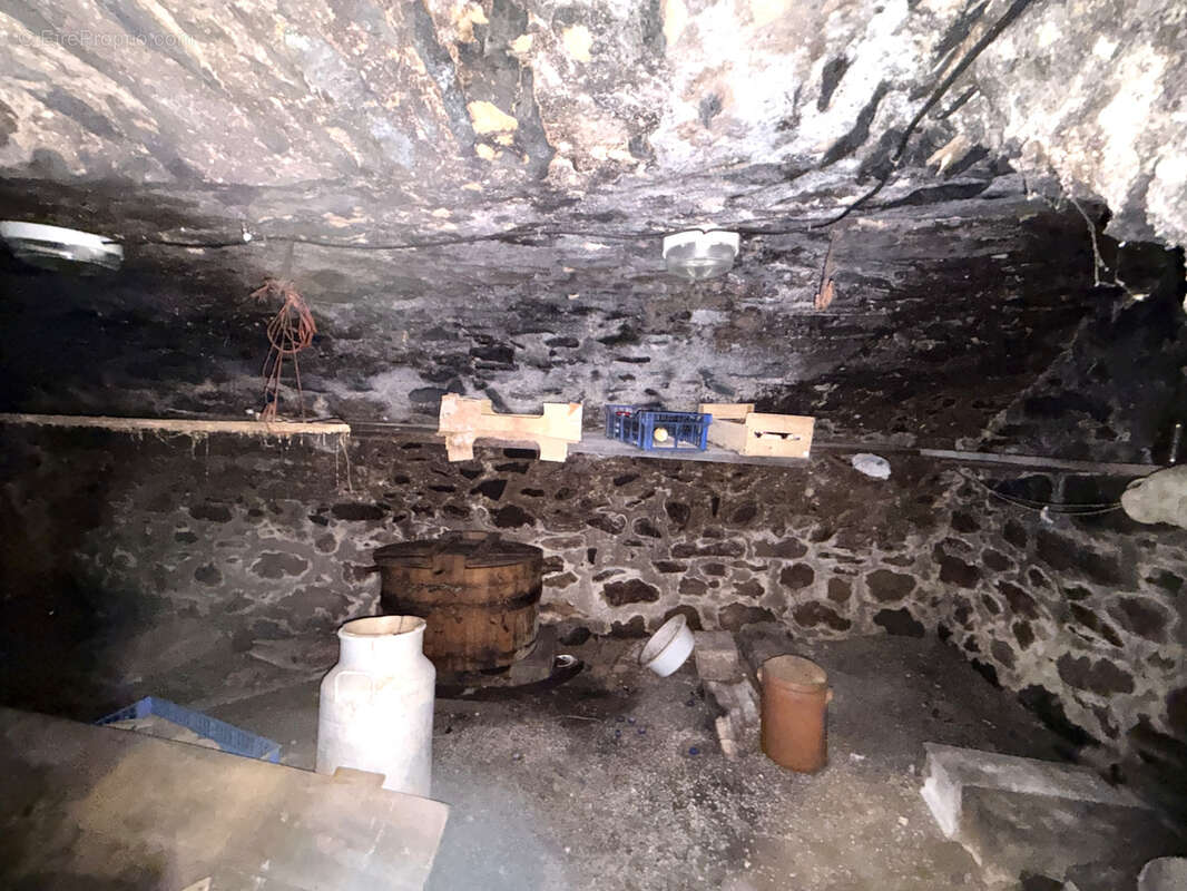 Montgreleix   Maison avec grange, écurie et dépendances sur 925 m2 de terrain - photo 10