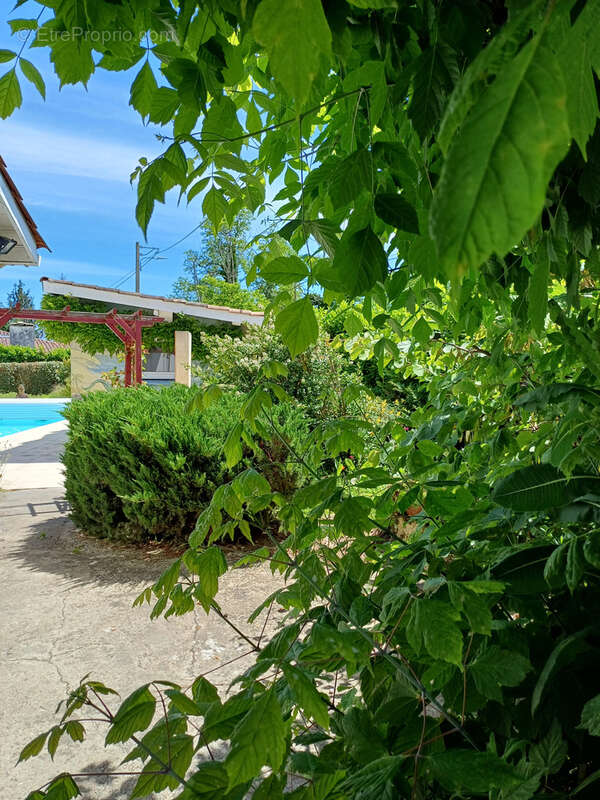 Maison à BAZAS