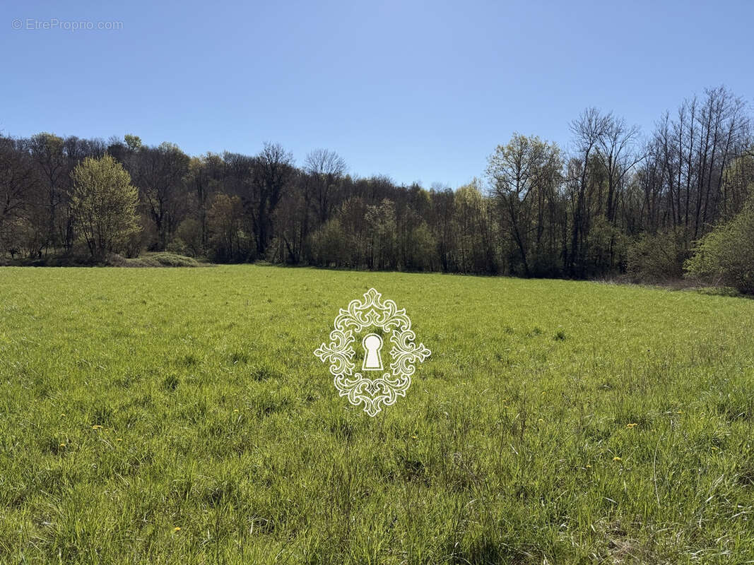 Maison à DONNEMARIE-DONTILLY