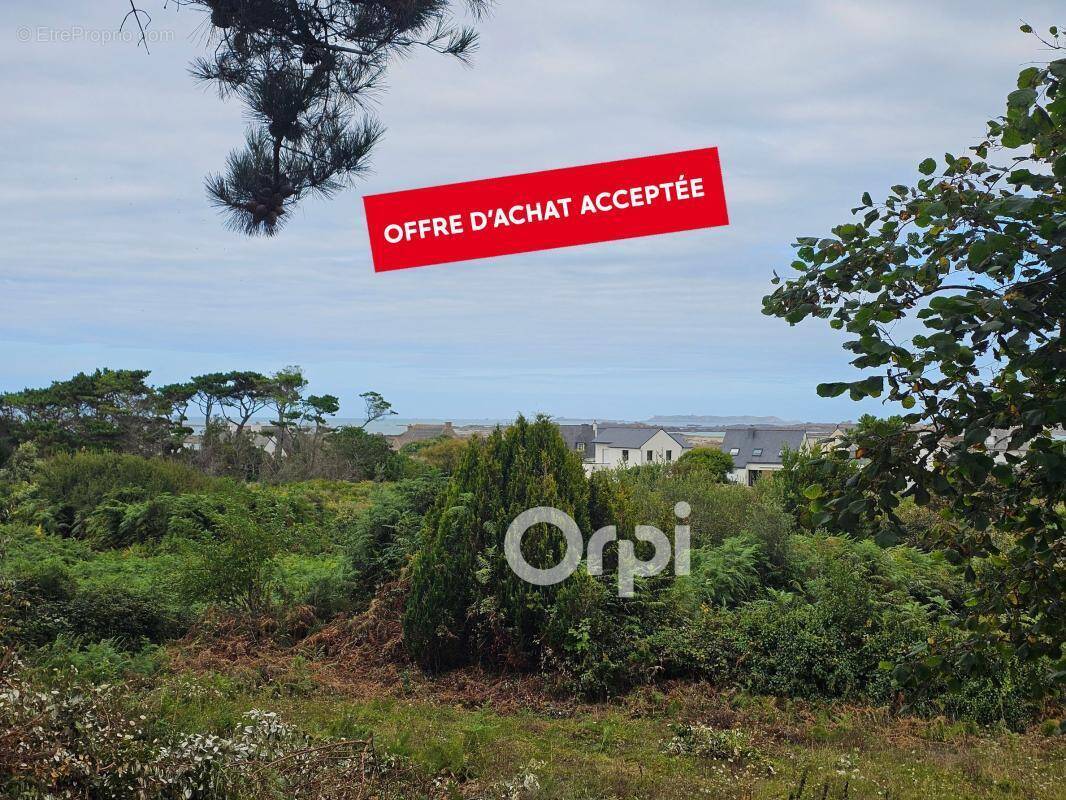 Terrain à TREBEURDEN