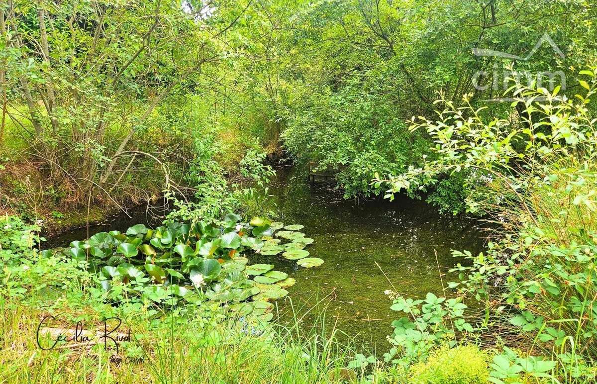 Maison de caractère avec 1,5 hectare - photo 18