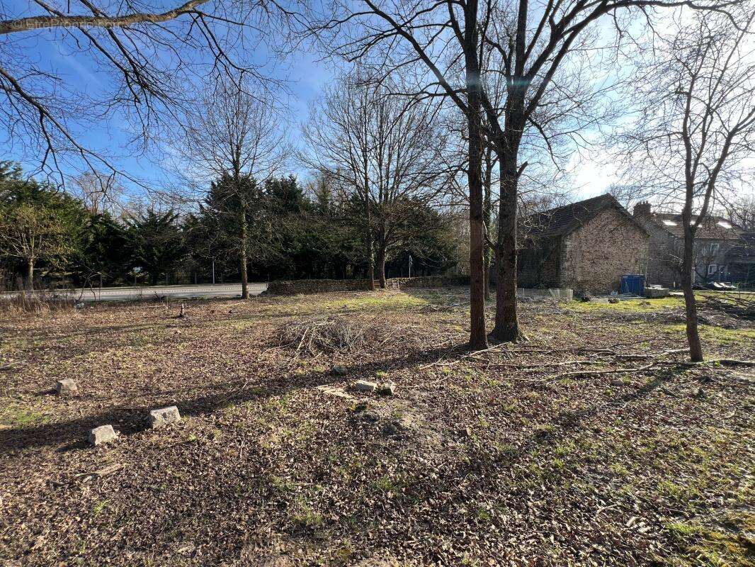 Terrain à SAINT-MAURICE-MONTCOURONNE