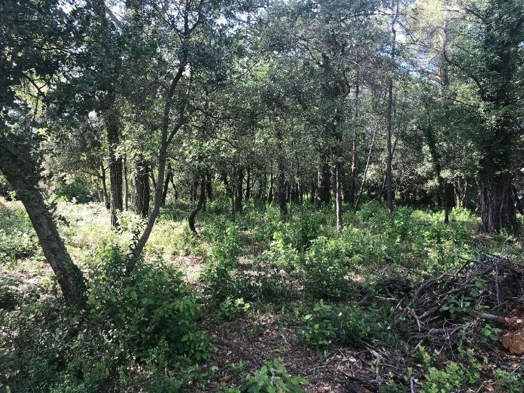 Terrain à BRIGNOLES