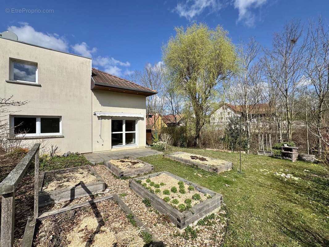Appartement à ZAESSINGUE