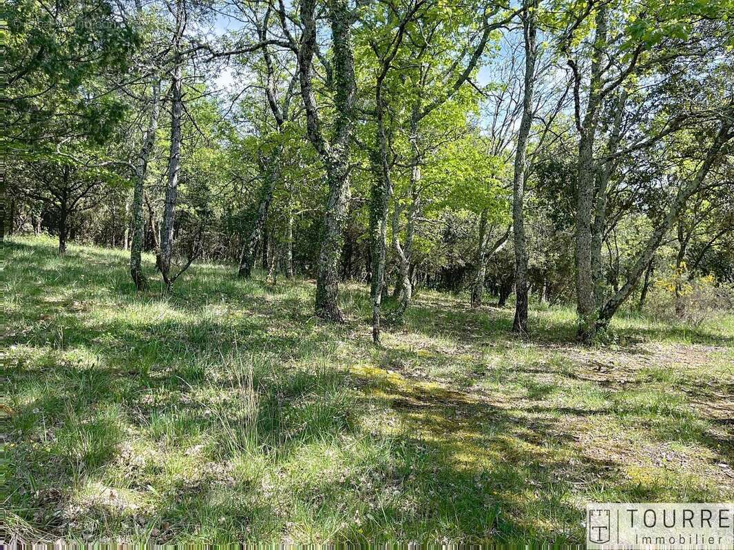 Terrain à LAGORCE