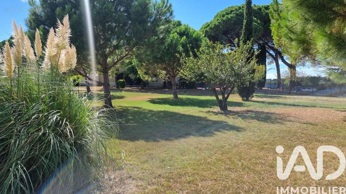 Photo 3 - Maison à TOURBES