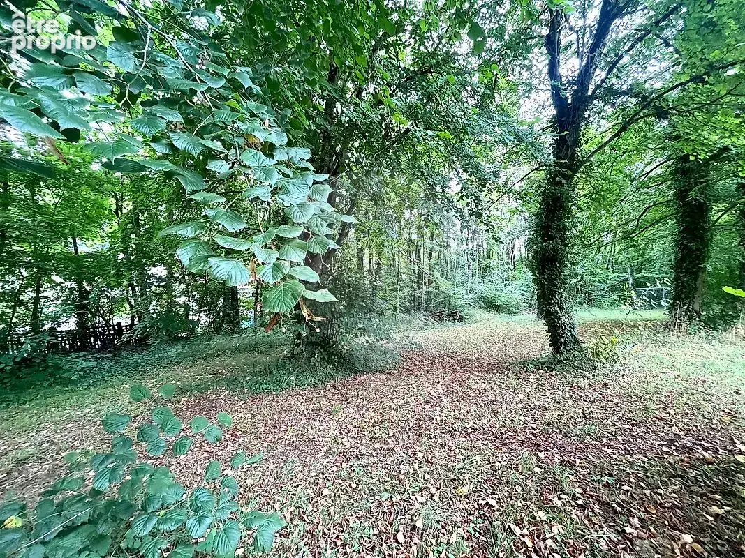 Terrain à LONGUYON