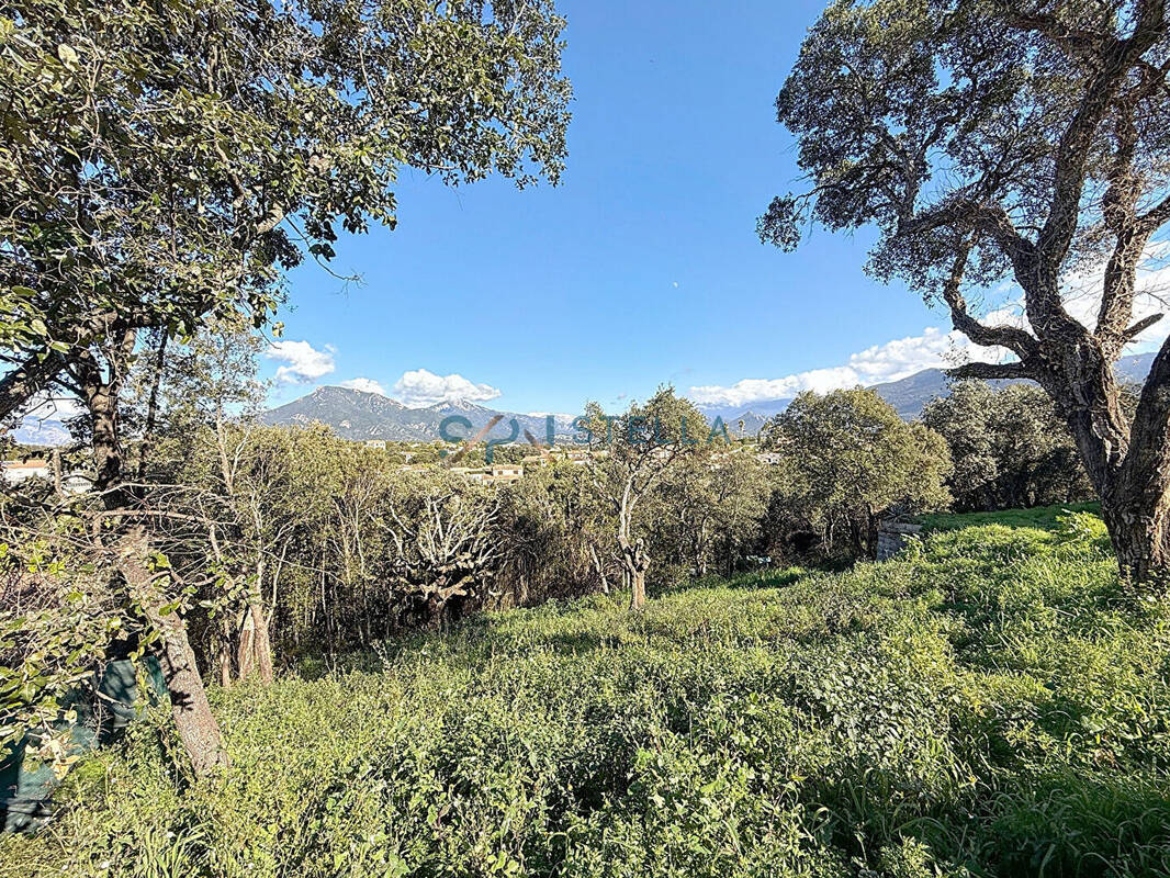 Terrain à GROSSETO-PRUGNA