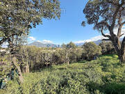 Terrain à GROSSETO-PRUGNA