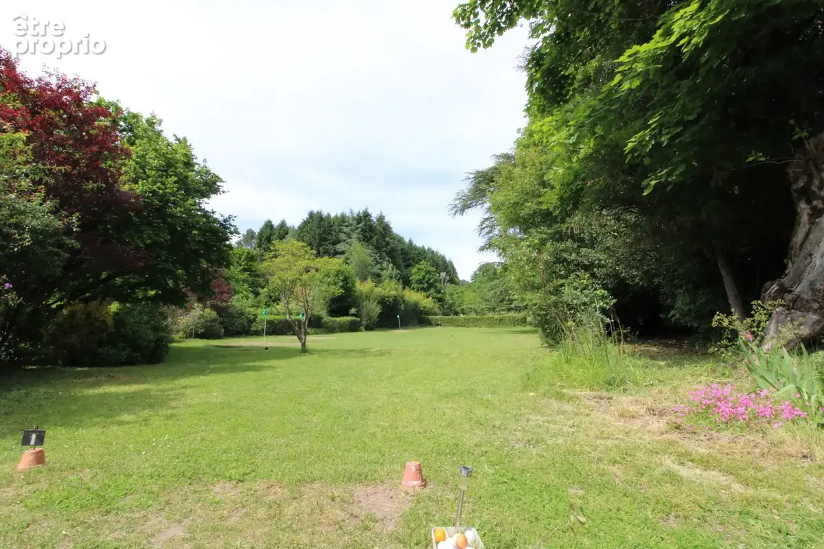 Maison de maitre 464 m2 + 150 m2 caves et garage.. - photo 20