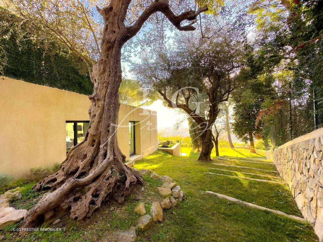 Maison à MOUGINS
