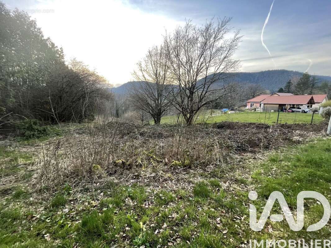 Photo 2 - Terrain à SAINT-DIE-DES-VOSGES