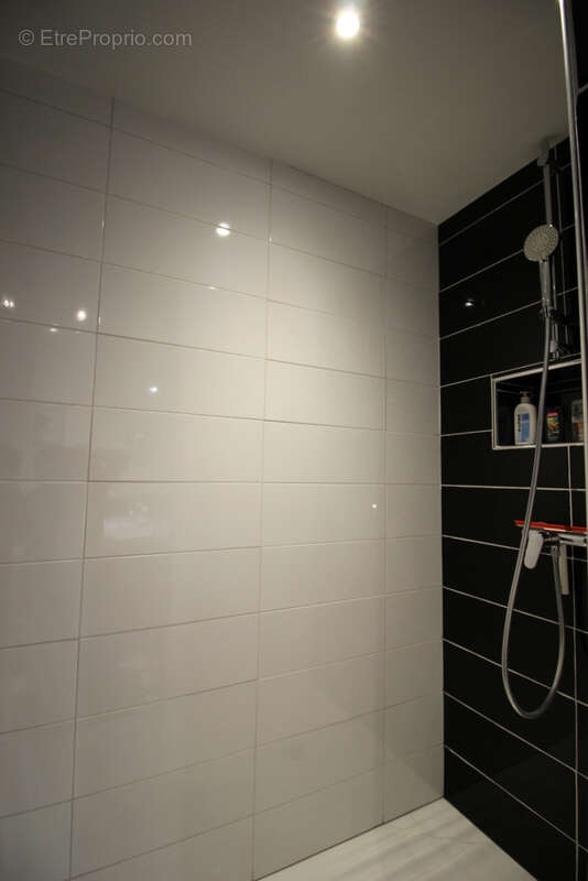 Bel appartement T2 avec ascenseur en centre-ville de Vichy avec cave et mansarde - photo 18