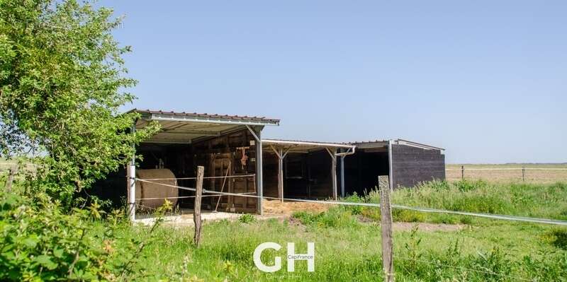 Propriété de 6 hectares à vendre GEHEE (36) - photo 25