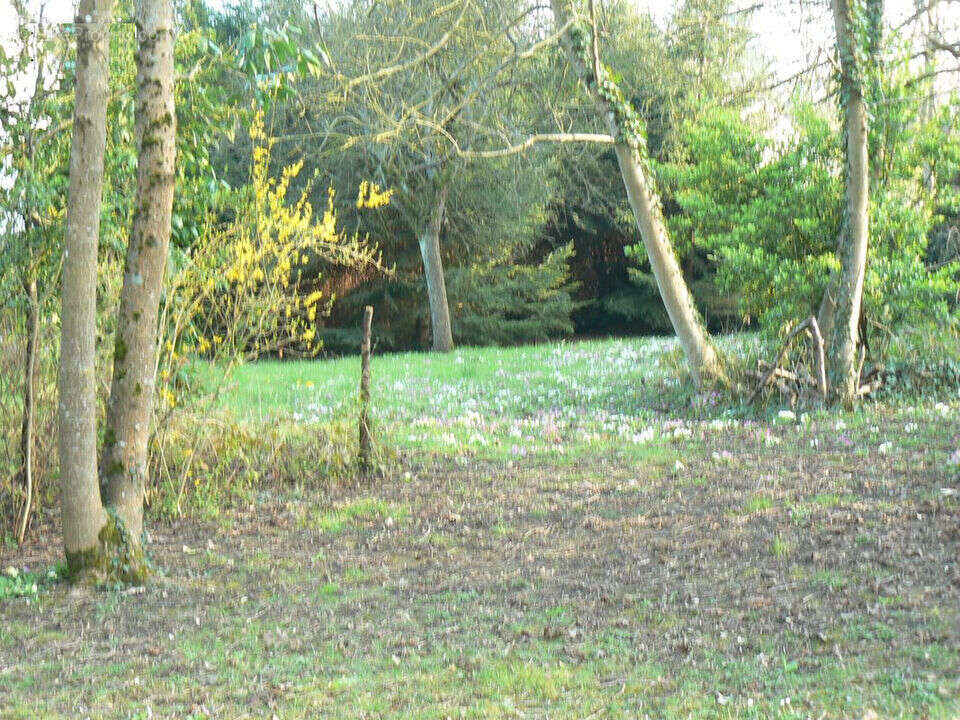 Terrain à VILLIERS-SUR-MORIN