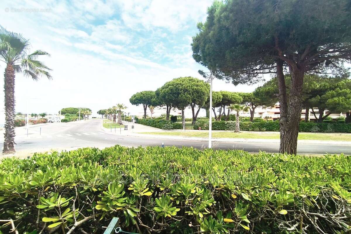Appartement à LE GRAU-DU-ROI