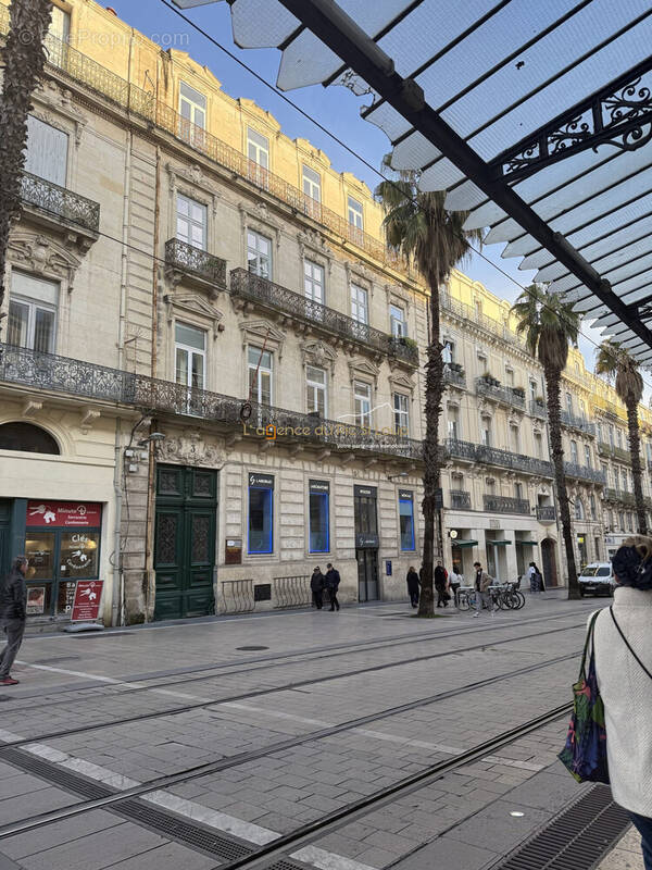 rue Maguelone - Appartement à MONTPELLIER