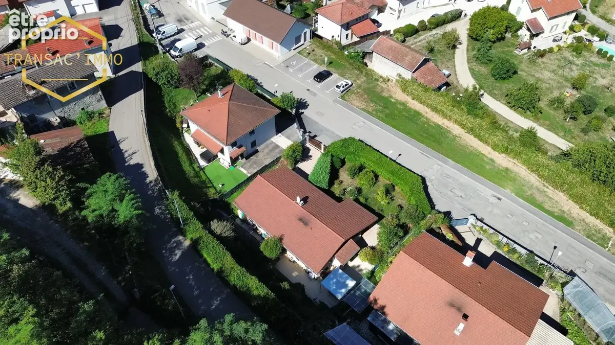 n°5