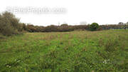 Terrain à CAMARET-SUR-MER
