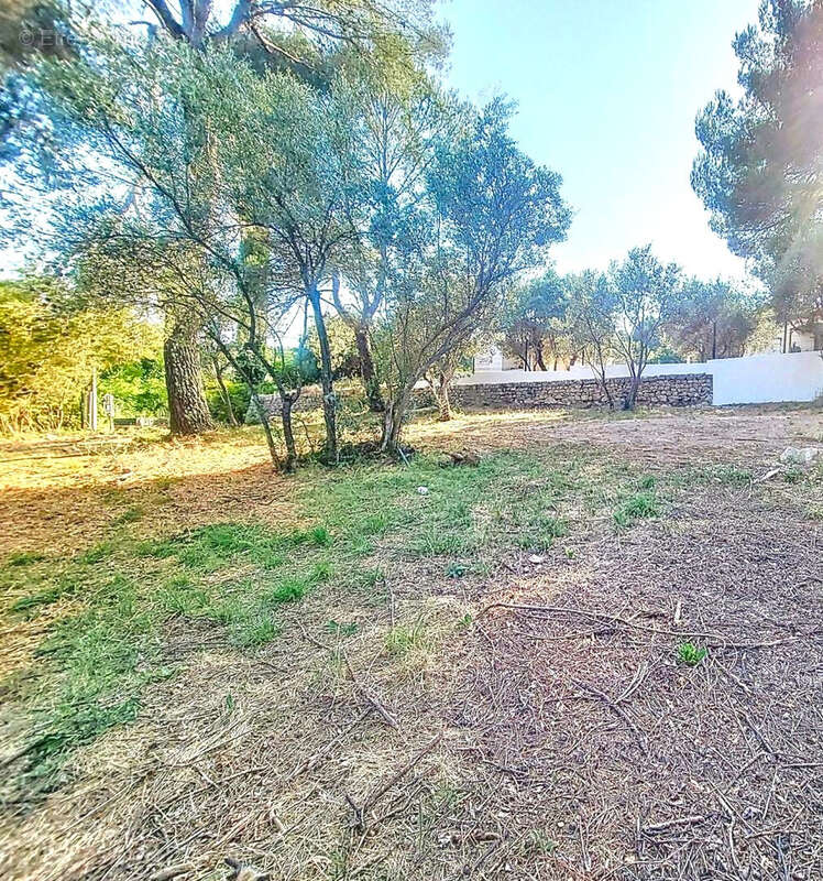 Terrain à DRAGUIGNAN