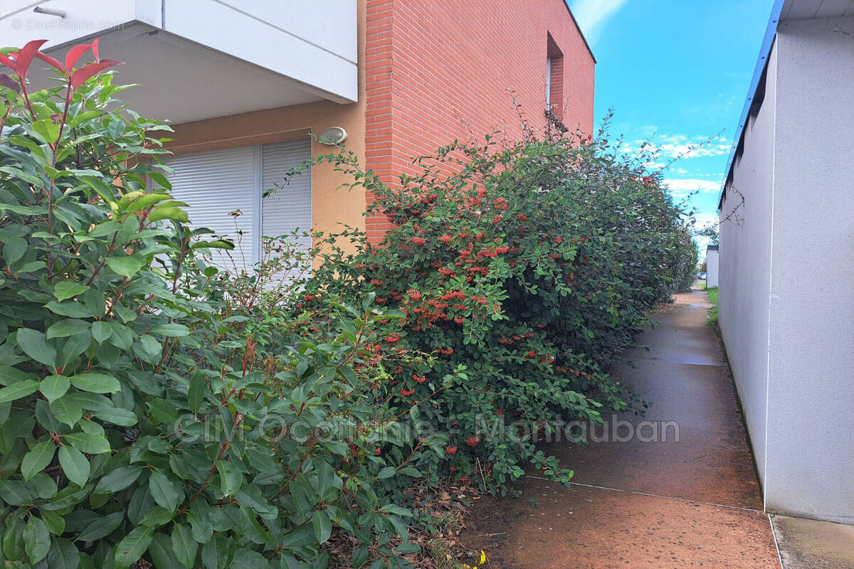 Appartement à PLAISANCE-DU-TOUCH