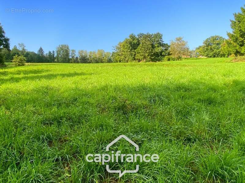 Terrain à vendre  CONDAL (71) - 800m² constructible - photo 5