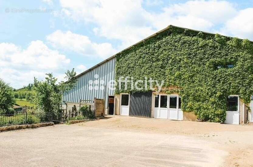 Locaux/Biens immobiliers - photo 17