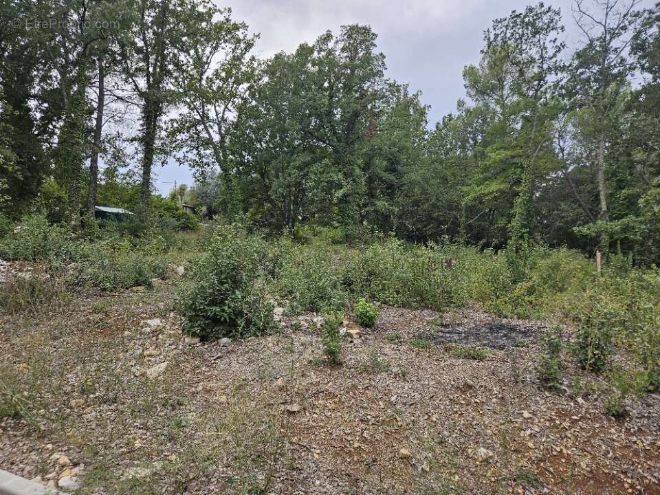 Terrain à TOURRETTES