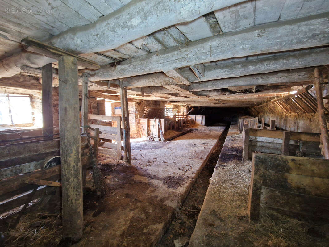 Corps de ferme en pierre à rénover   La Chapelle-Laurent - photo 6