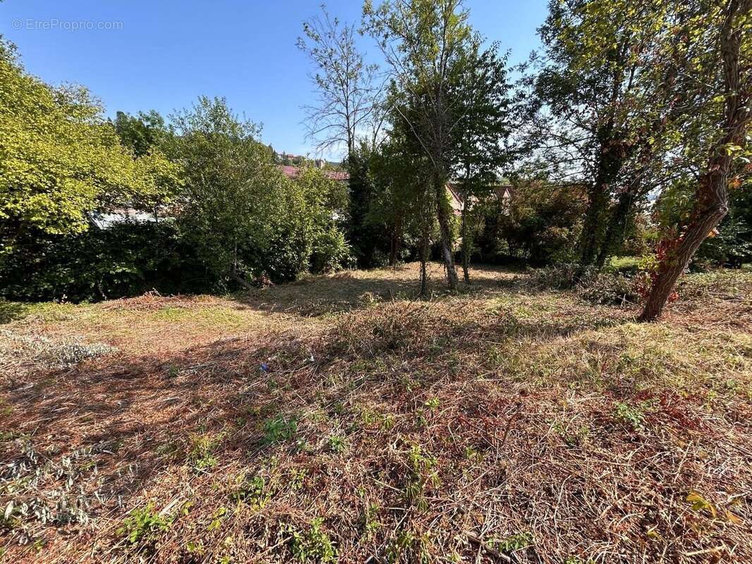 Terrain 1235 m² à Thel  - photo 8
