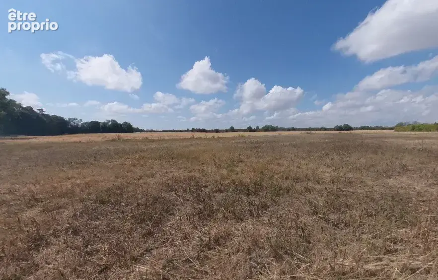 Terrain à BEAUMONT-DU-GATINAIS