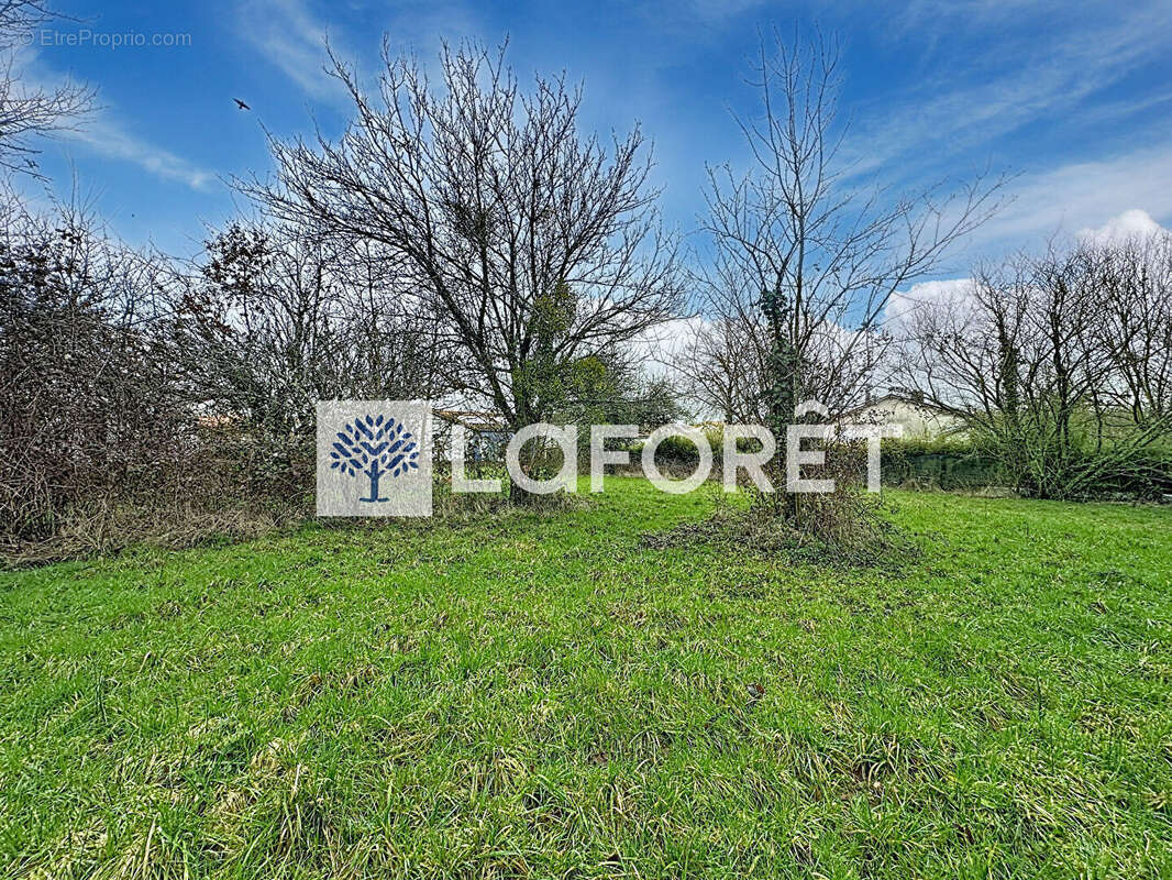 Terrain à BRESSUIRE